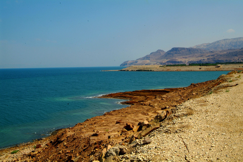 DSCF4690.JPG