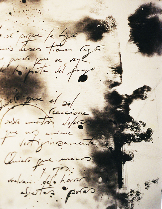 ROSTRO CON POEMA