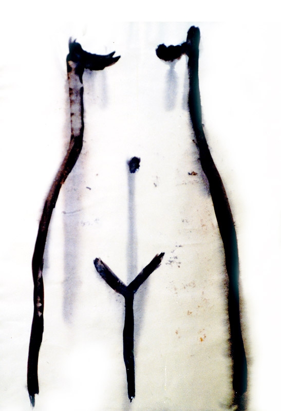 THE MELTING WOMAN
