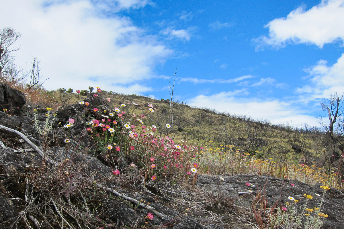 Mt. Karthala, Grande Comore