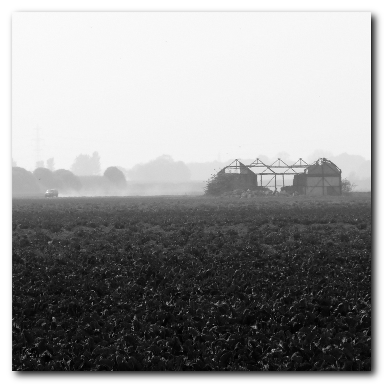 Lincolnshire