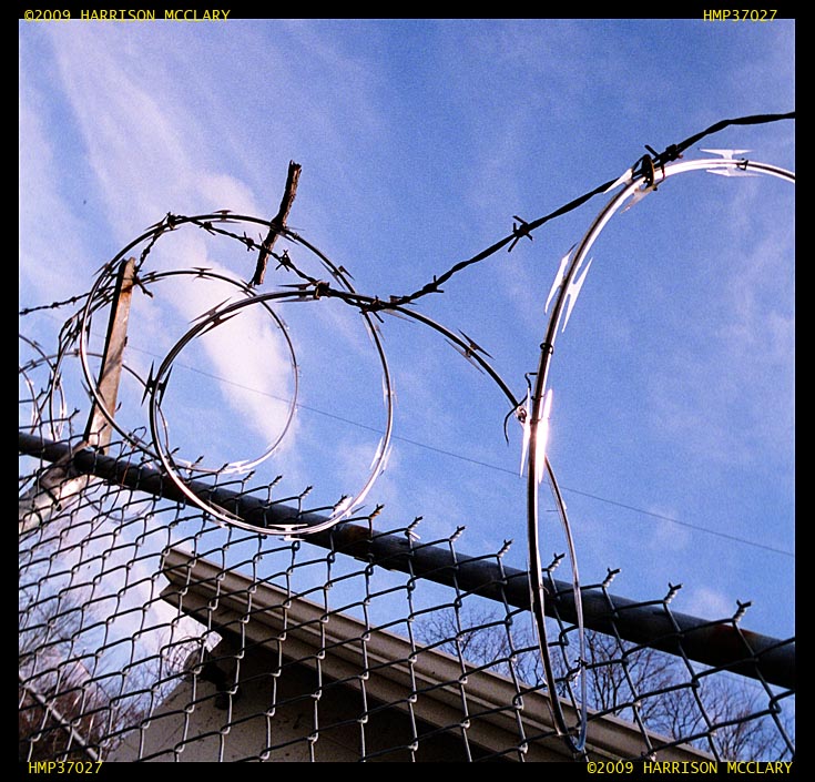 Wire