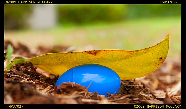 Last Egg Hunt