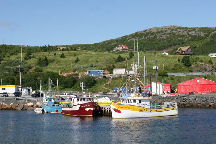 Bay Bulls Harbour