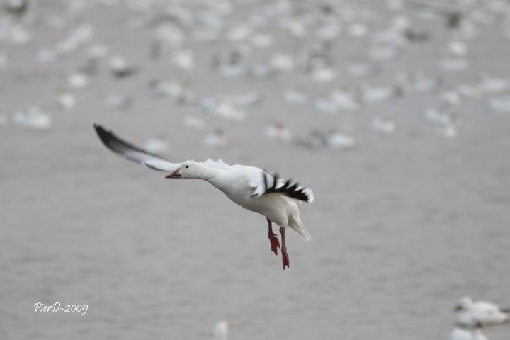 Resize of _MG_4949_1_1.jpg