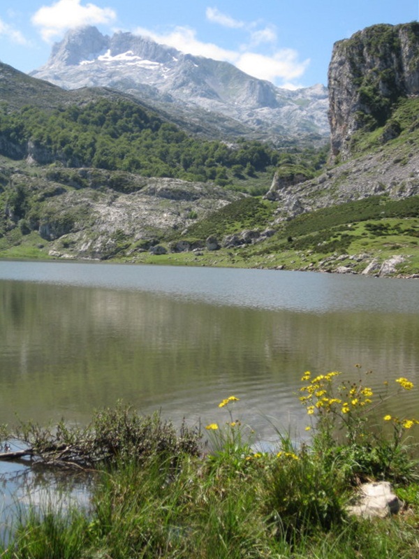 Lago La Ercina