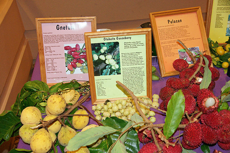 Assorted exotic fruit