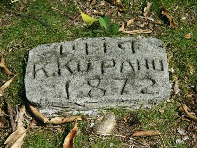  If Memory oer their Tomb no Trophies raise...