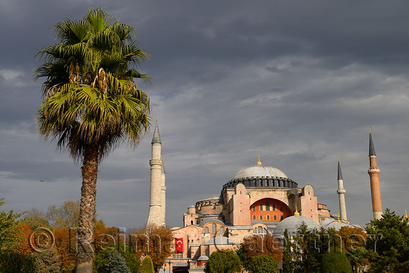 Ancient Hagia Sophia with palm tree and clouds in Istanbul Turkey