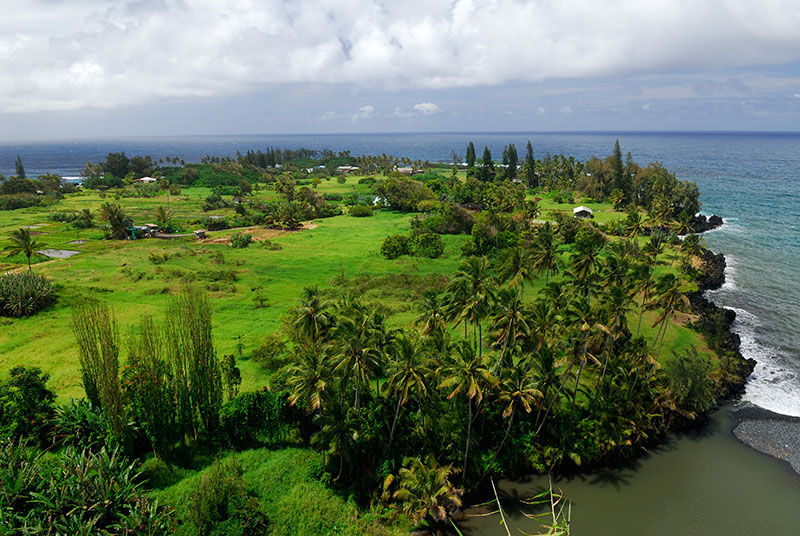 83 Road to Hana 5.jpg