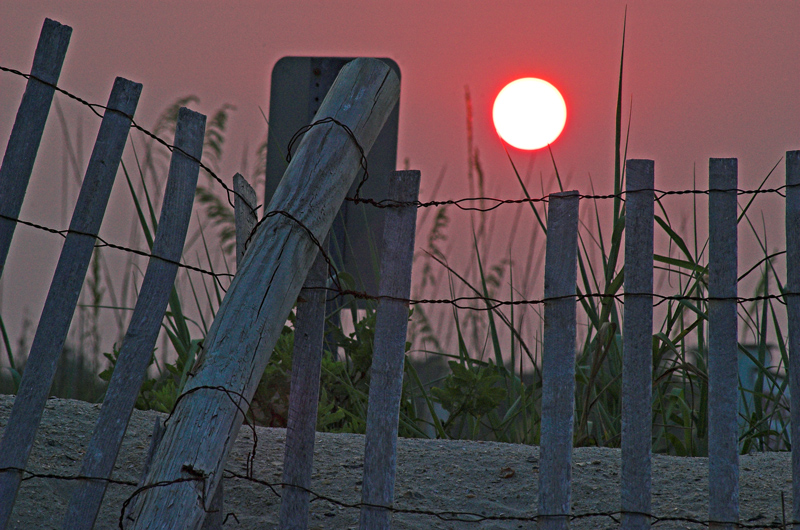 Sundown Fence