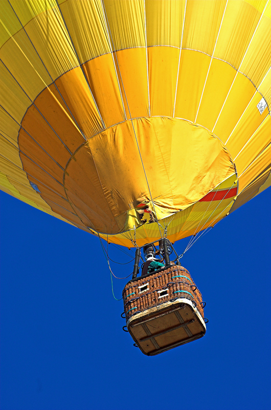 DSC_7123-01Adic.jpg