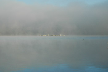 Lake Morena