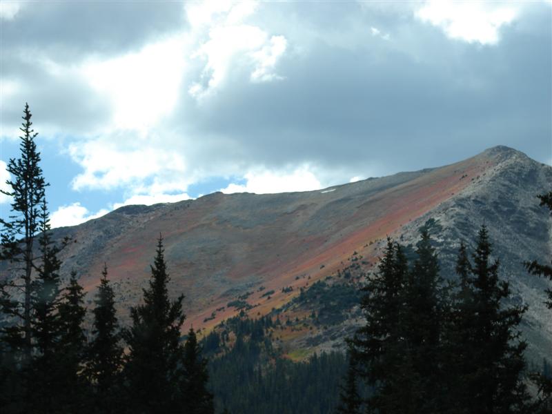 DSC06735.JPG