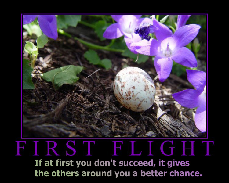 First Flight