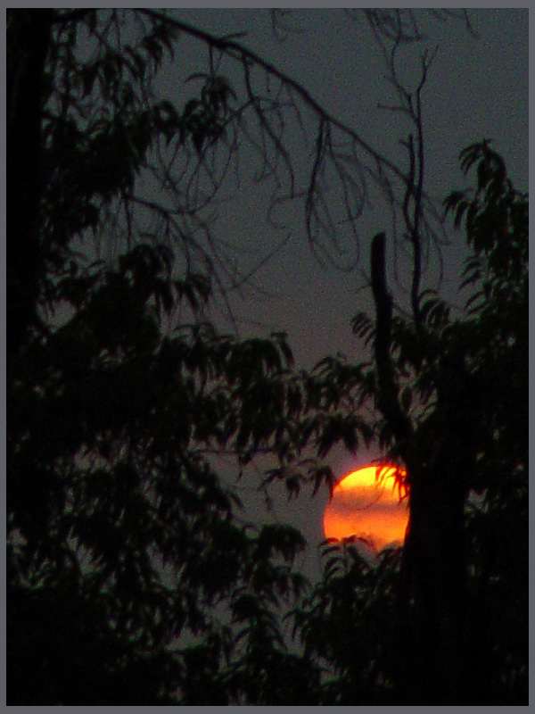 August 19, 2006<br><font size=2>Still Looking for a<br>Hole in the Clouds</font>