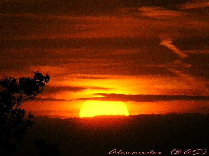Armagedon