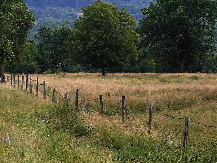 Fence
