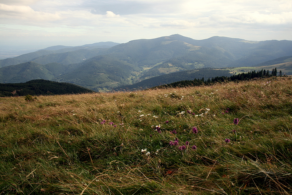le petit ballon, Vosges du Sud.