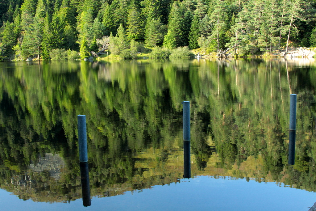 le lac des truites