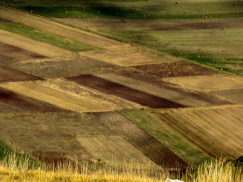 piano di cinquemiglia #2