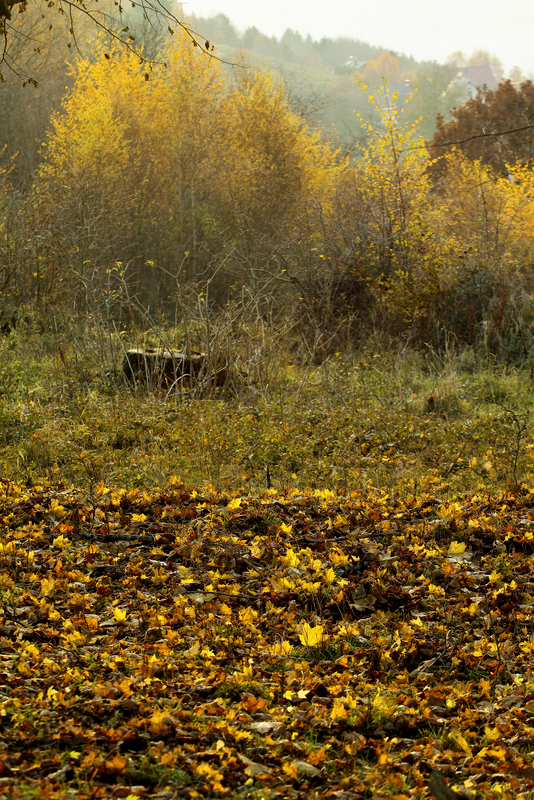 marcher sur l'or