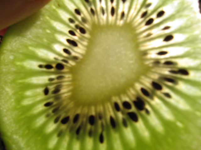 kiwi