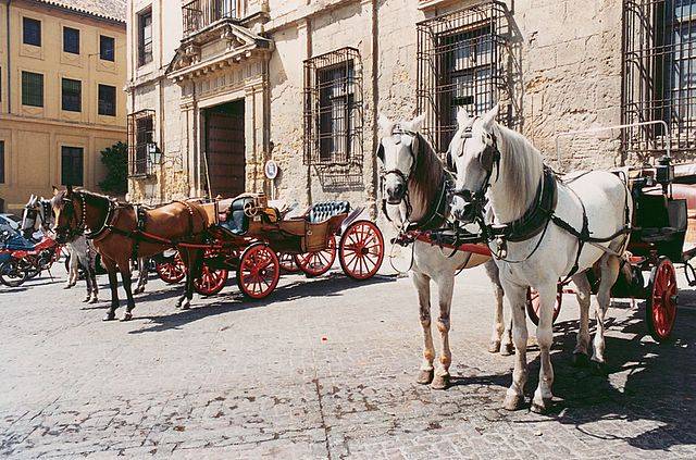 cordoba