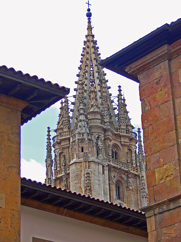 cathedral detail.