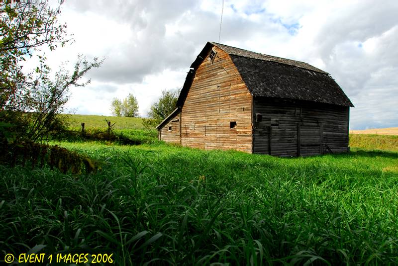 Bored Barn