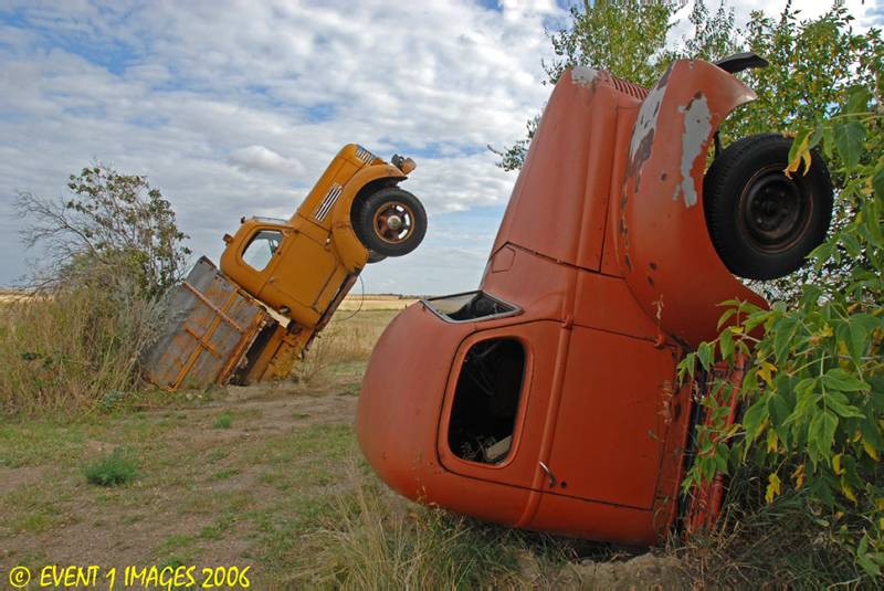 Tree Trucks