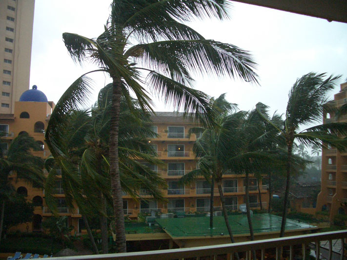 more crazy palms action