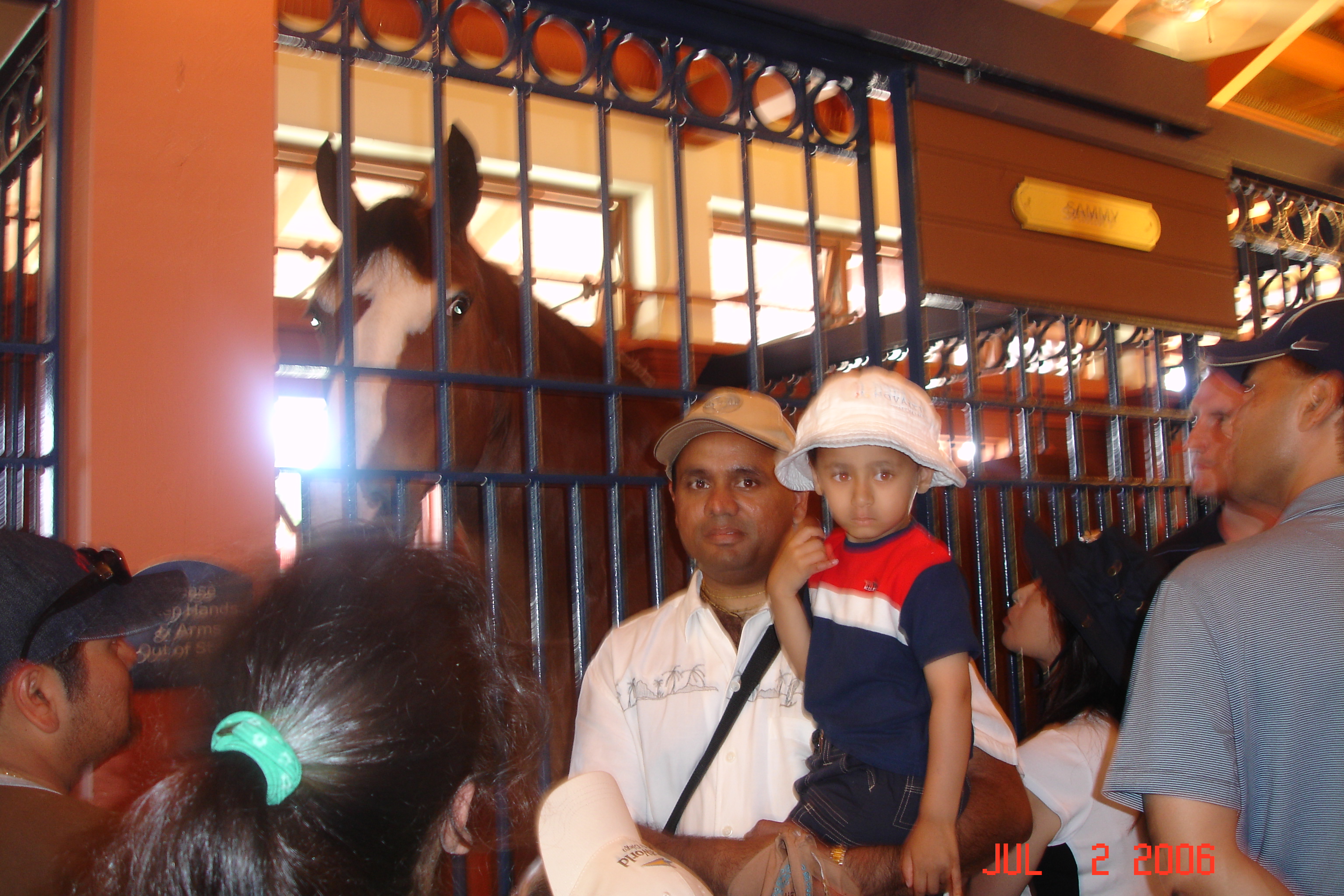 What a horse