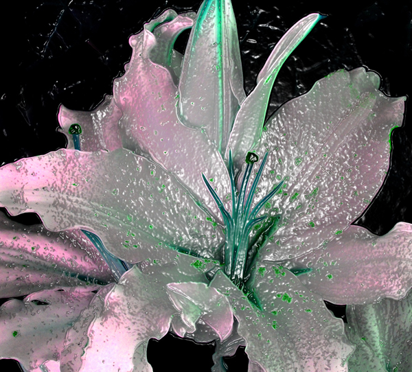 Manipulated real flower.