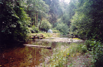 Prairie Creek campground