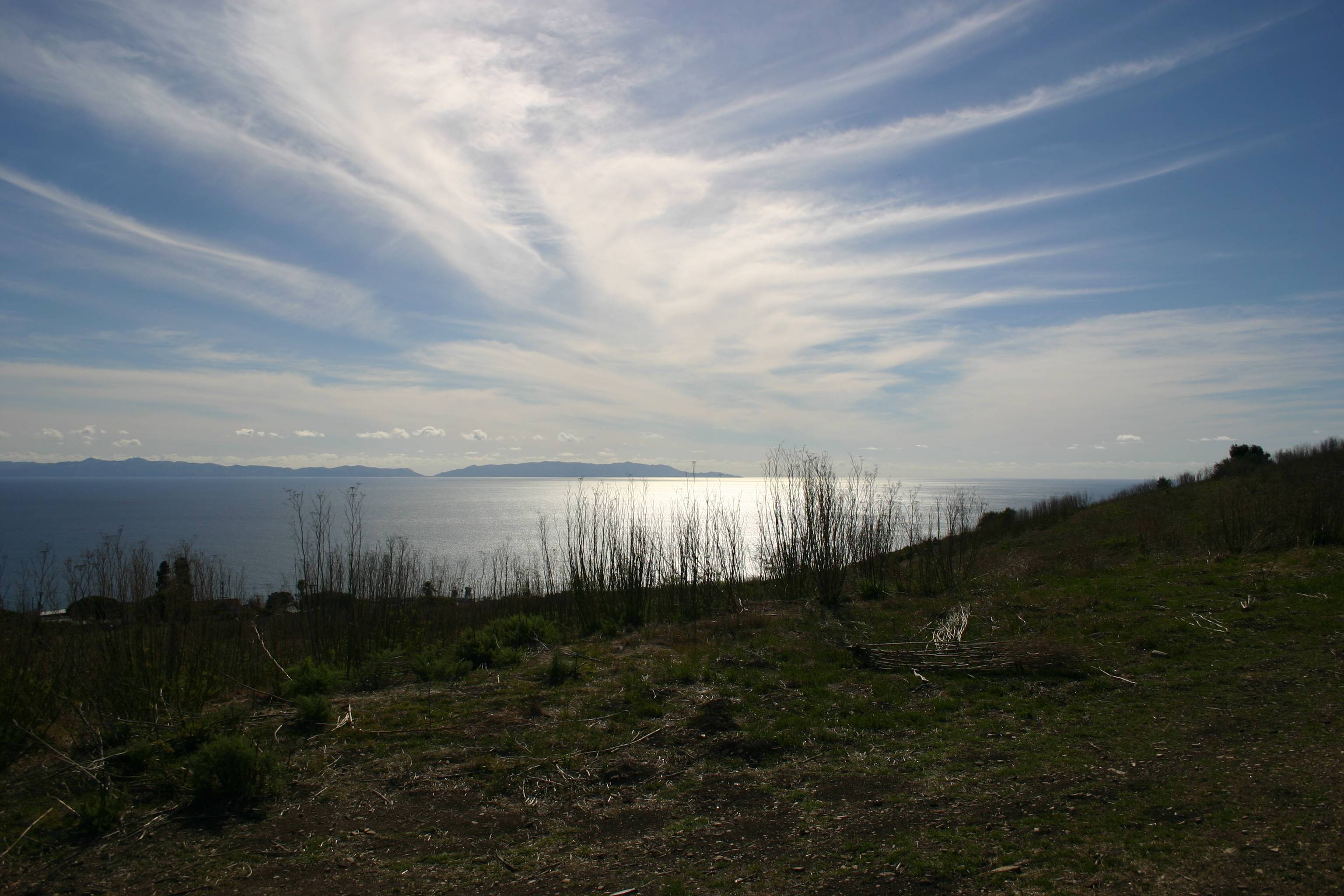 Catalina horizon