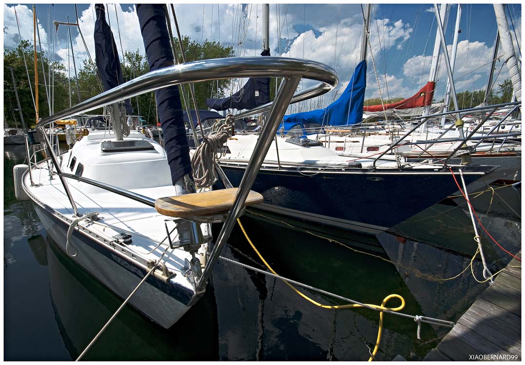 HARBOUR of TORONTO ISLAND