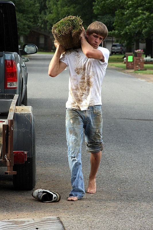 Brawny Boy lays sod