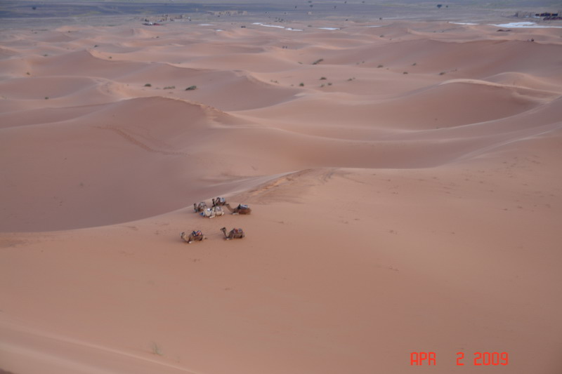 sahara at sunrise