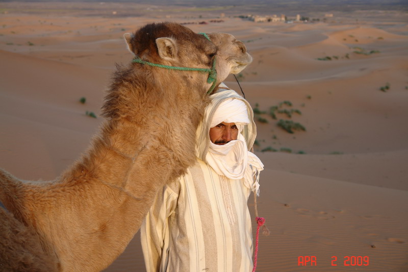sahara at sunrise