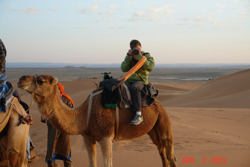 sahara at sunrise
