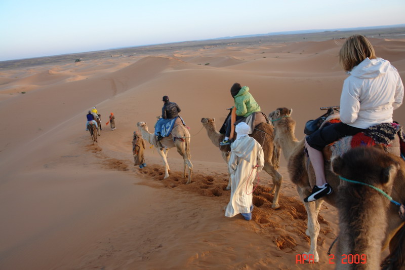 sahara at sunrise