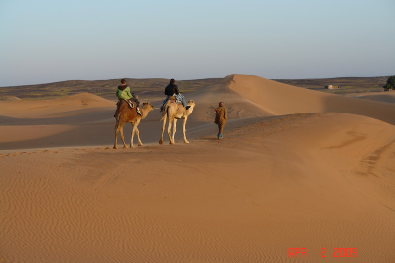 sahara at sunrise