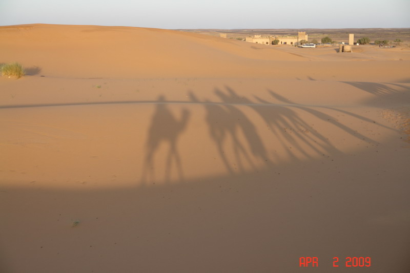 sahara at sunrise