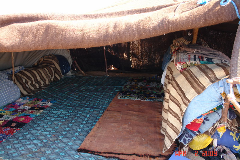 sahara60 bedouin.JPG