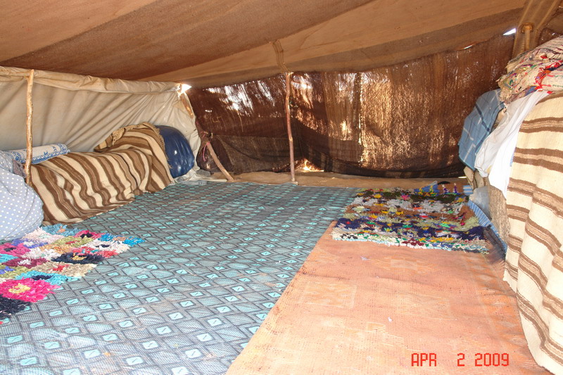 sahara63 bedouin.JPG