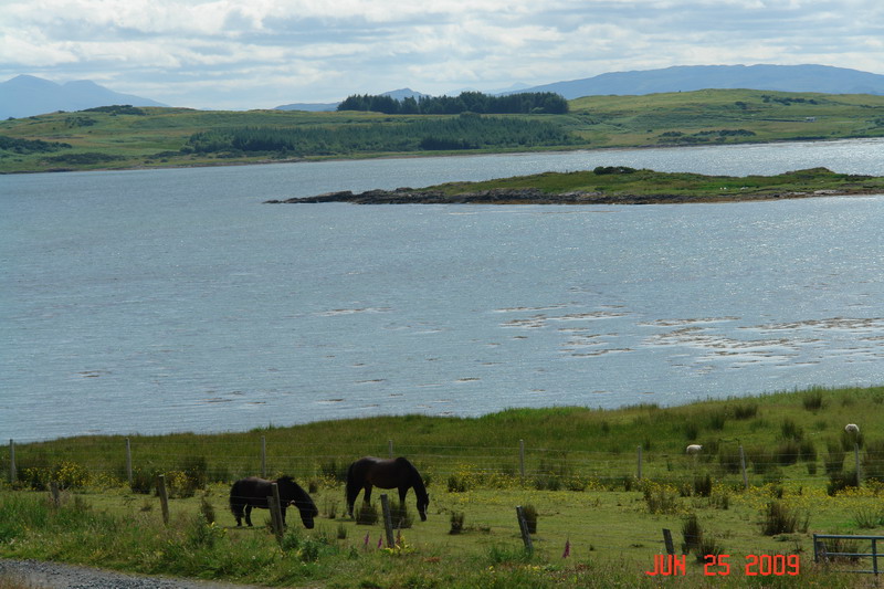 isle of mull_10.JPG