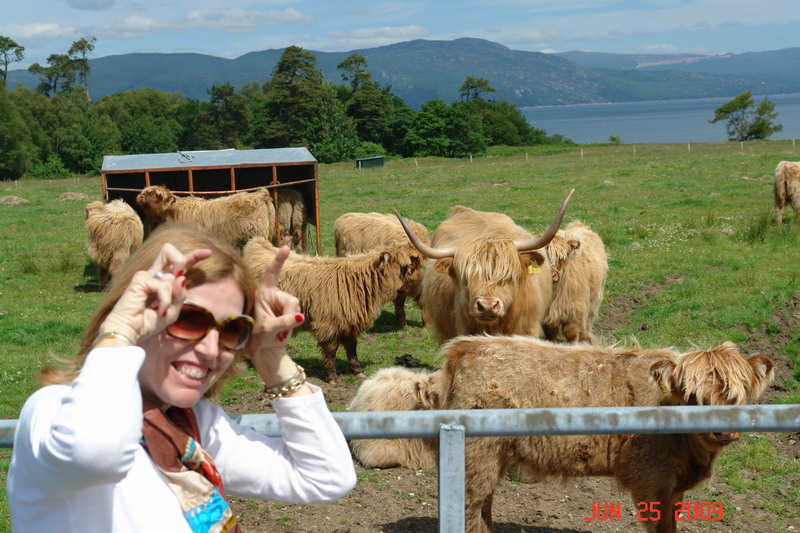 isle of mull_28.JPG