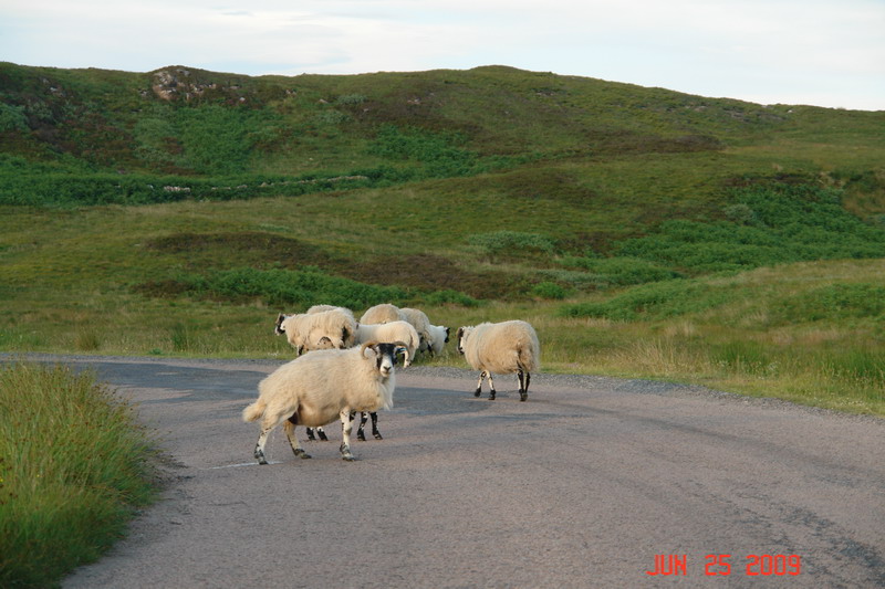 isle of mull_61.JPG