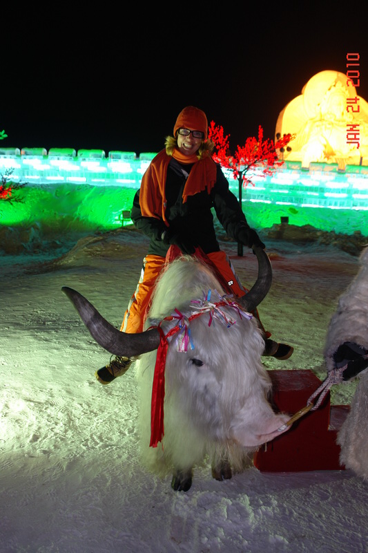 harbin33 ice festival - yak.JPG